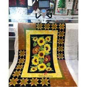 Janome Quilt Maker Pro 18